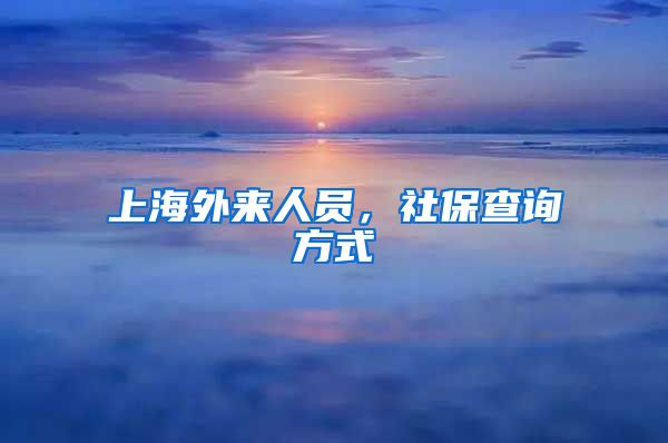 上海外来人员，社保查询方式