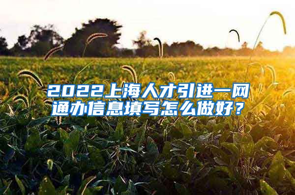 2022上海人才引进一网通办信息填写怎么做好？