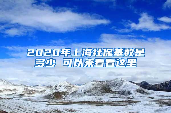 2020年上海社保基数是多少 可以来看看这里