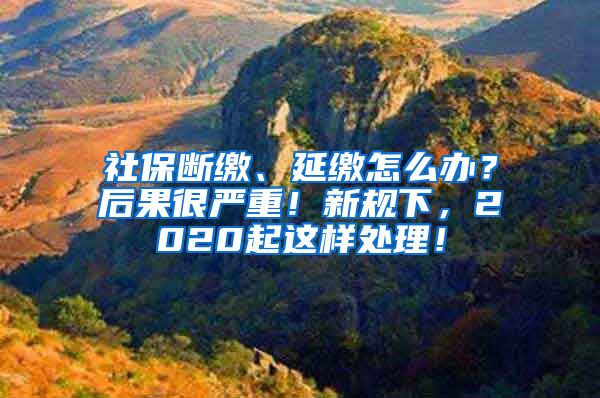 社保断缴、延缴怎么办？后果很严重！新规下，2020起这样处理！