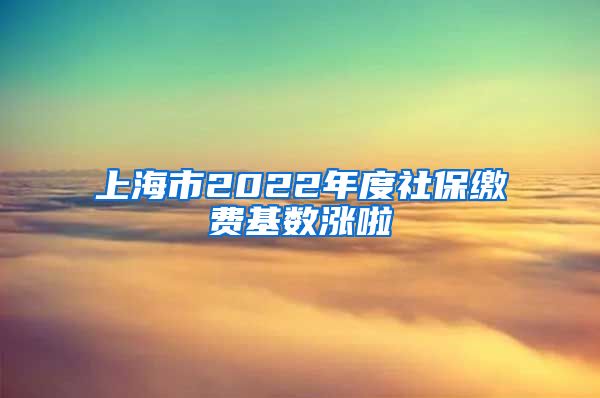 上海市2022年度社保缴费基数涨啦