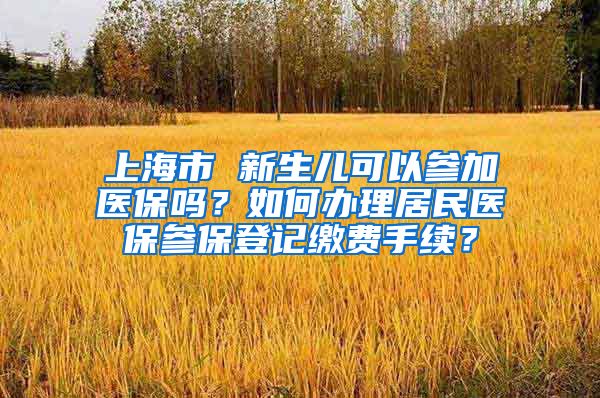 上海市 新生儿可以参加医保吗？如何办理居民医保参保登记缴费手续？