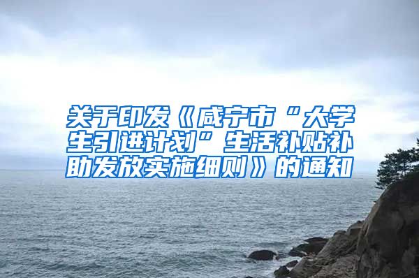 关于印发《咸宁市“大学生引进计划”生活补贴补助发放实施细则》的通知