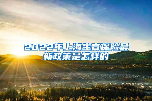 2022年上海生育保险最新政策是怎样的