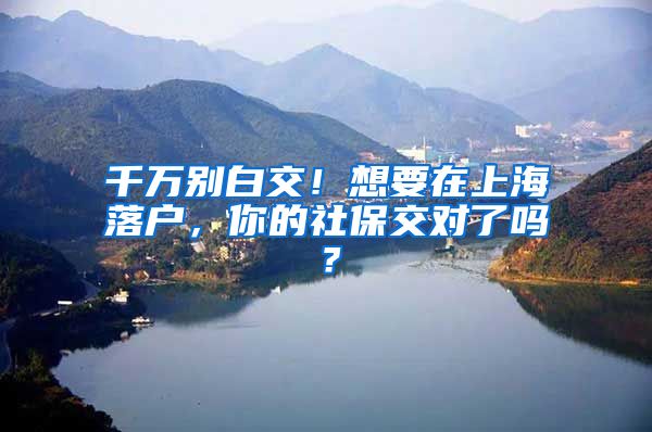 千万别白交！想要在上海落户，你的社保交对了吗？