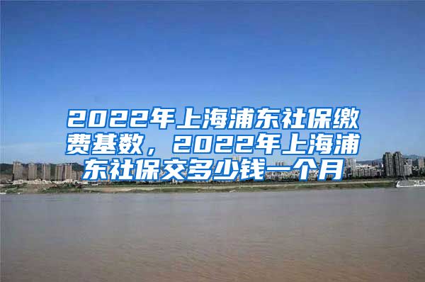 2022年上海浦东社保缴费基数，2022年上海浦东社保交多少钱一个月