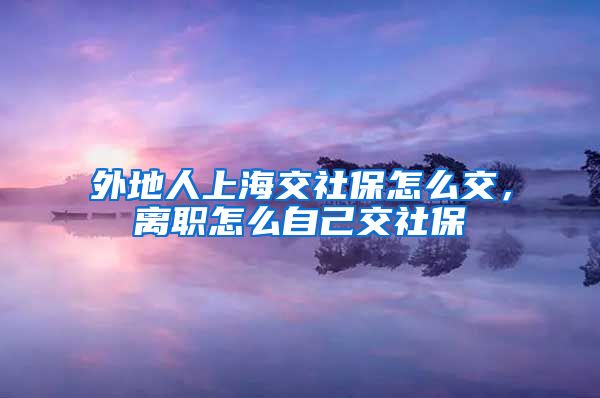 外地人上海交社保怎么交，离职怎么自己交社保