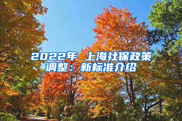 2022年 上海社保政策调整：新标准介绍