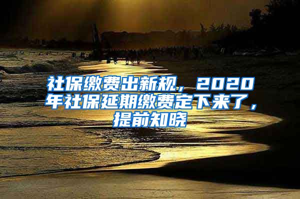 社保缴费出新规，2020年社保延期缴费定下来了，提前知晓