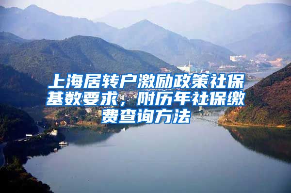 上海居转户激励政策社保基数要求，附历年社保缴费查询方法