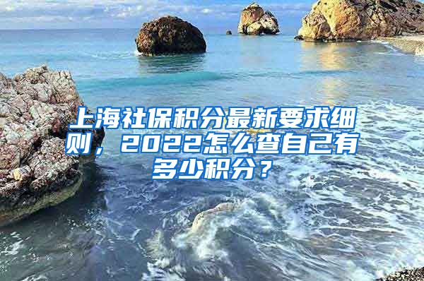 上海社保积分最新要求细则，2022怎么查自己有多少积分？