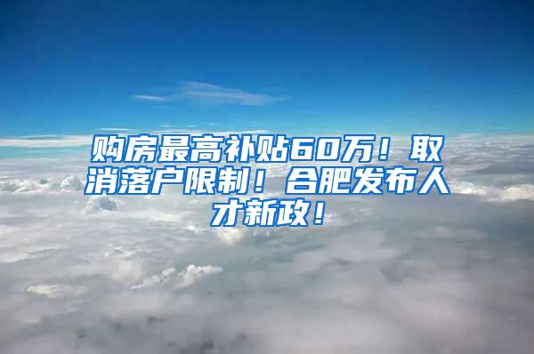 购房最高补贴60万！取消落户限制！合肥发布人才新政！