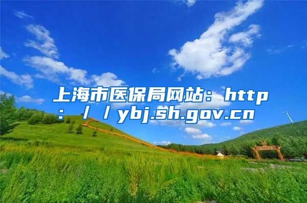 上海市医保局网站：http：／／ybj.sh.gov.cn