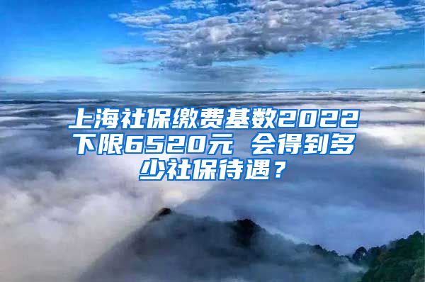 上海社保缴费基数2022下限6520元 会得到多少社保待遇？