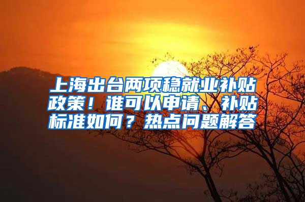 上海出台两项稳就业补贴政策！谁可以申请、补贴标准如何？热点问题解答→