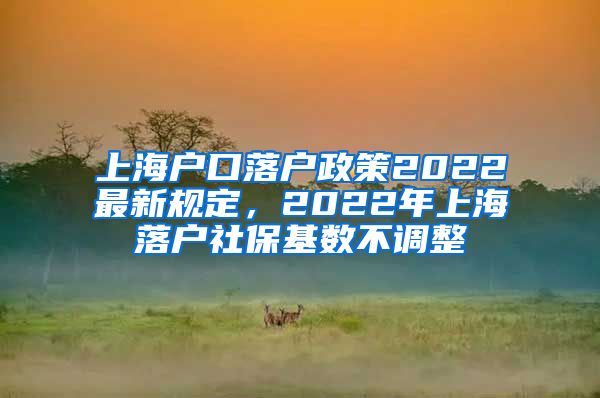 上海户口落户政策2022最新规定，2022年上海落户社保基数不调整