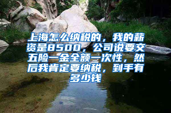 上海怎么纳税的，我的薪资是8500，公司说要交五险一金全额一次性，然后我肯定要纳税，到手有多少钱