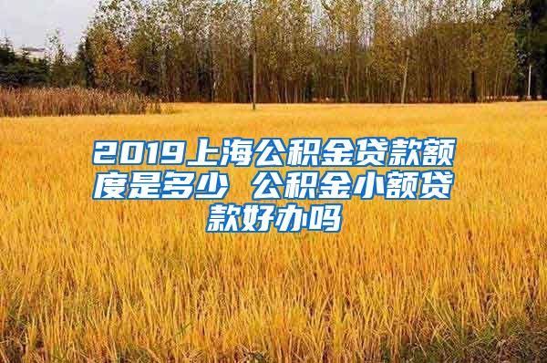 2019上海公积金贷款额度是多少 公积金小额贷款好办吗