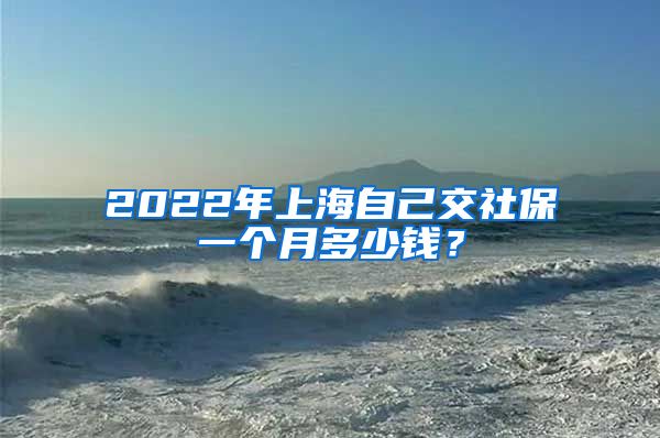 2022年上海自己交社保一个月多少钱？