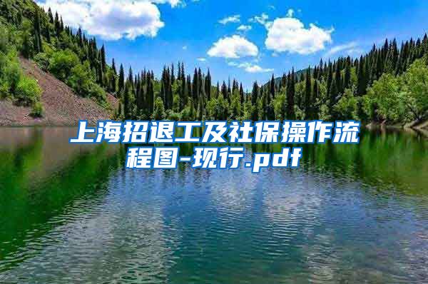 上海招退工及社保操作流程图-现行.pdf