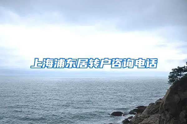 上海浦东居转户咨询电话