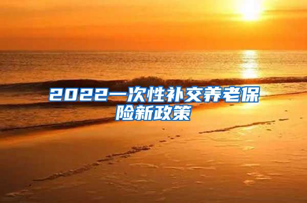 2022一次性补交养老保险新政策