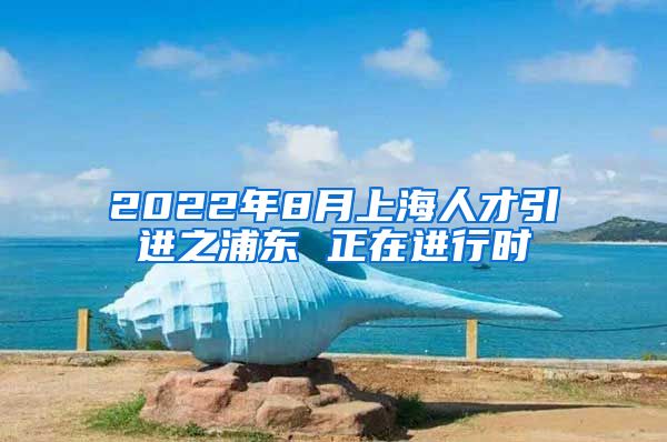 2022年8月上海人才引进之浦东 正在进行时