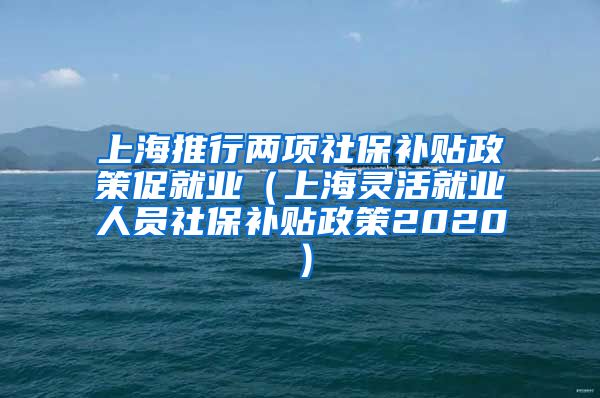 上海推行两项社保补贴政策促就业（上海灵活就业人员社保补贴政策2020）