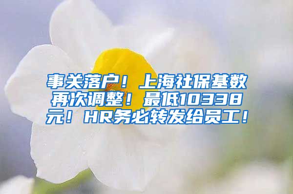 事关落户！上海社保基数再次调整！最低10338元！HR务必转发给员工！