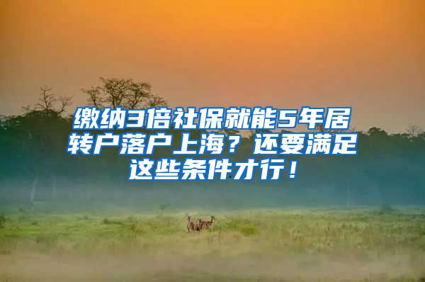 缴纳3倍社保就能5年居转户落户上海？还要满足这些条件才行！