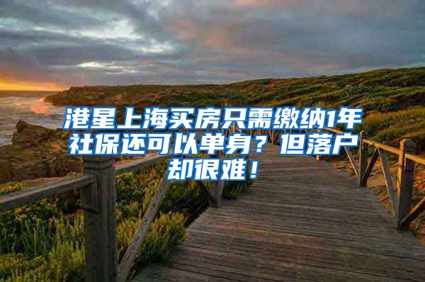 港星上海买房只需缴纳1年社保还可以单身？但落户却很难！