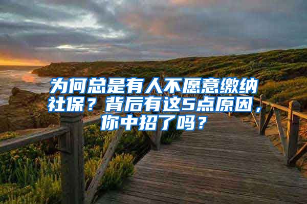 为何总是有人不愿意缴纳社保？背后有这5点原因，你中招了吗？