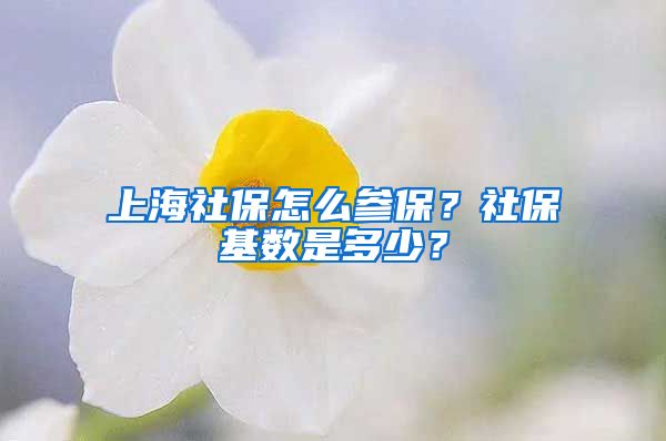 上海社保怎么参保？社保基数是多少？