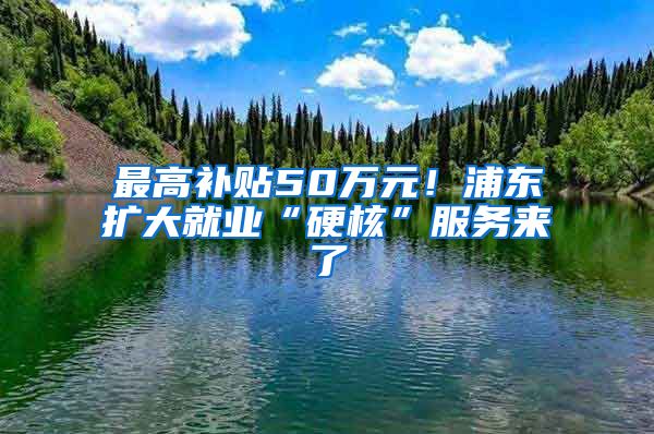 最高补贴50万元！浦东扩大就业“硬核”服务来了