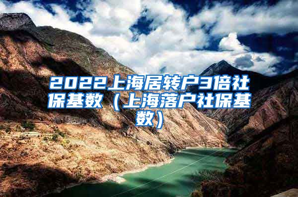 2022上海居转户3倍社保基数（上海落户社保基数）