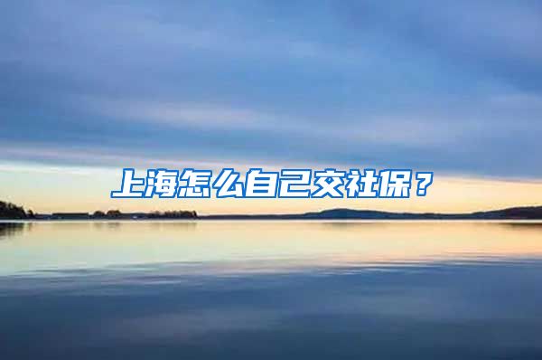 上海怎么自己交社保？