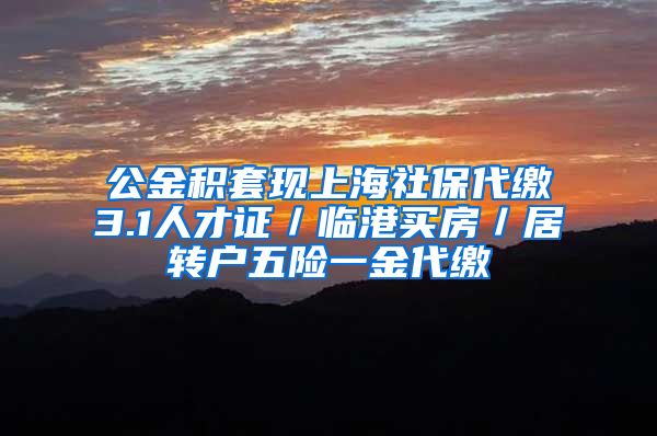 公金积套现上海社保代缴3.1人才证／临港买房／居转户五险一金代缴