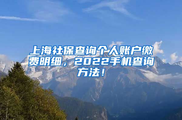 上海社保查询个人账户缴费明细，2022手机查询方法！