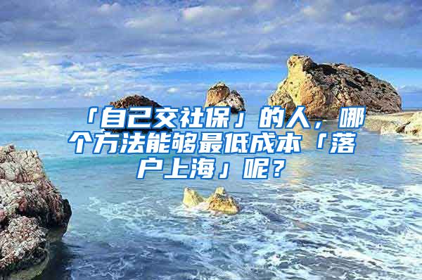 「自己交社保」的人，哪个方法能够最低成本「落户上海」呢？