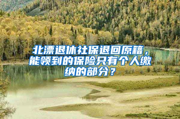 北漂退休社保退回原籍，能领到的保险只有个人缴纳的部分？