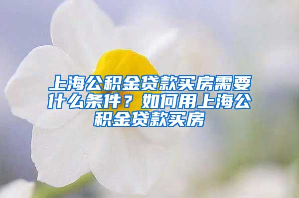 上海公积金贷款买房需要什么条件？如何用上海公积金贷款买房