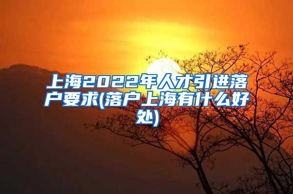 上海2022年人才引进落户要求(落户上海有什么好处)