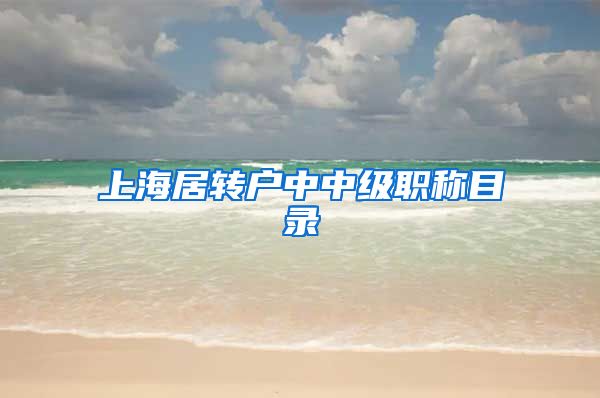 上海居转户中中级职称目录