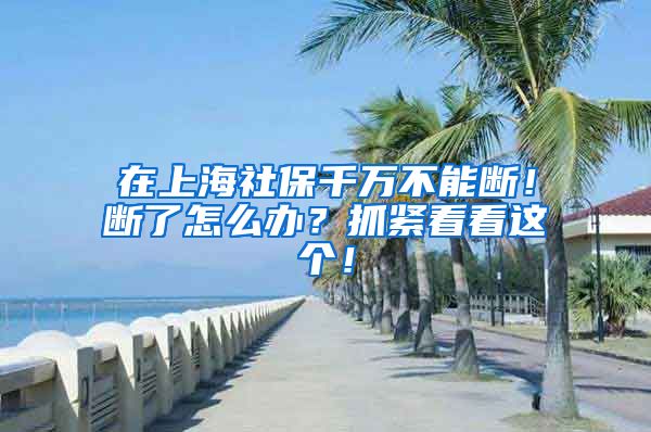 在上海社保千万不能断！断了怎么办？抓紧看看这个！