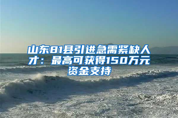 山东81县引进急需紧缺人才：最高可获得150万元资金支持