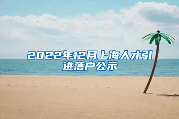 2022年12月上海人才引进落户公示