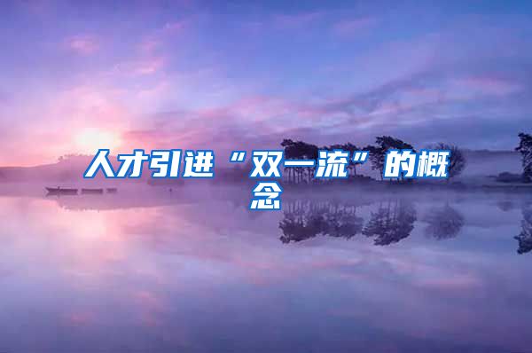 人才引进“双一流”的概念