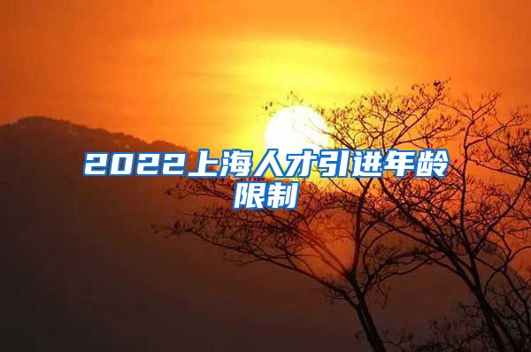 2022上海人才引进年龄限制