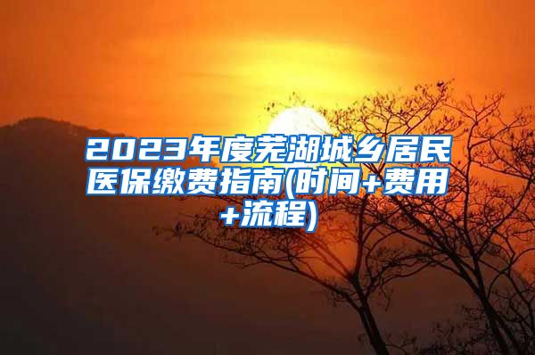 2023年度芜湖城乡居民医保缴费指南(时间+费用+流程)