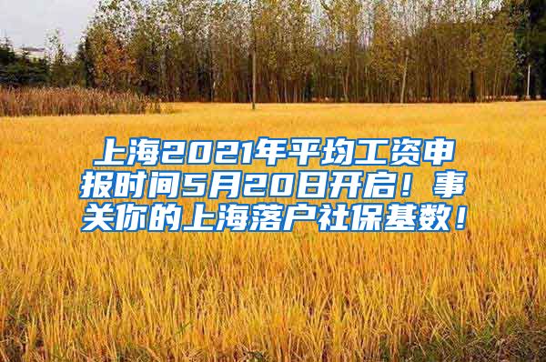 上海2021年平均工资申报时间5月20日开启！事关你的上海落户社保基数！